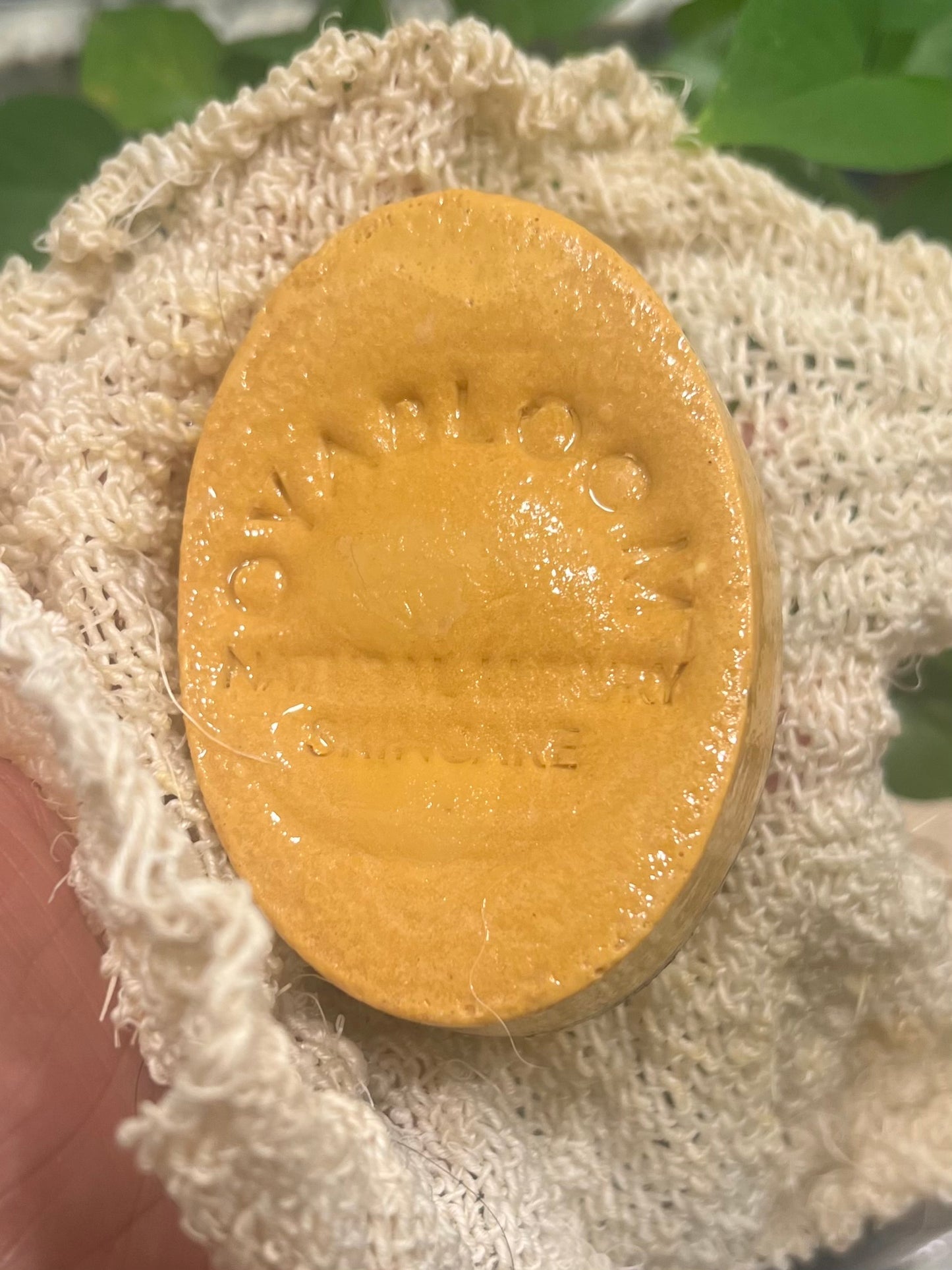 Detox & Purify Massage Bar Soap